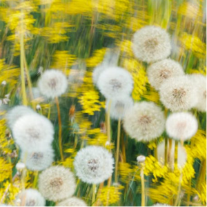 青青青青久久精品国产h
