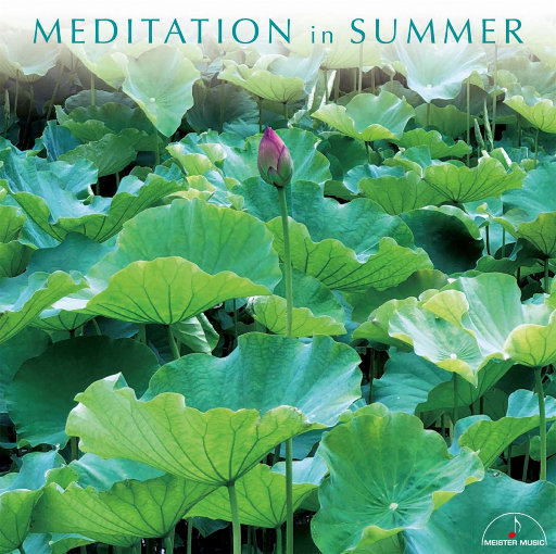 青青青青久久精品国产h
